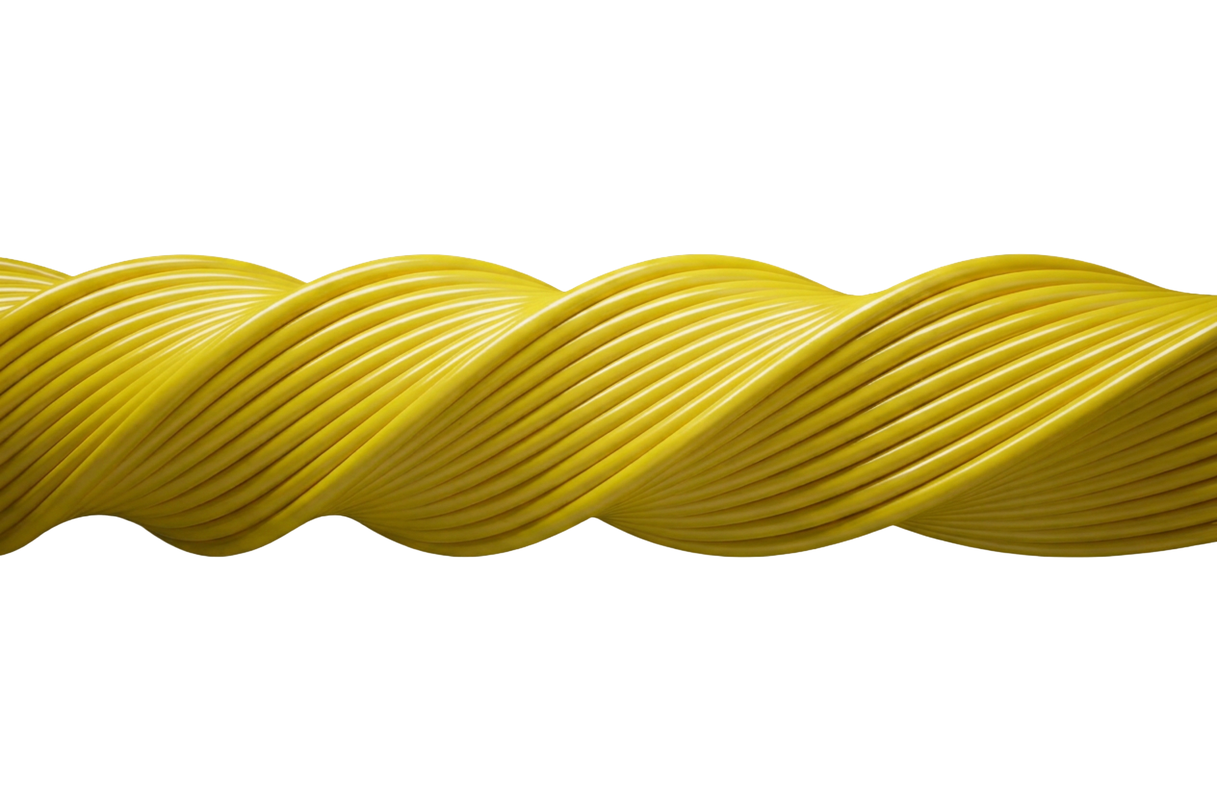 Footer Image